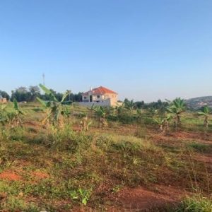 Land in Hoima (200x100)
