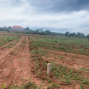 Land in Bukuumi (50x50)