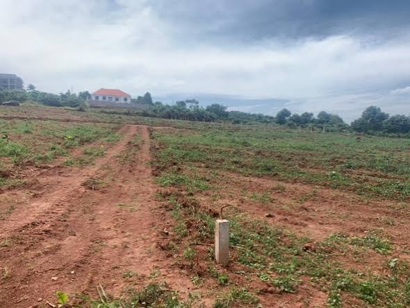 Land in Bukuumi (50x50)