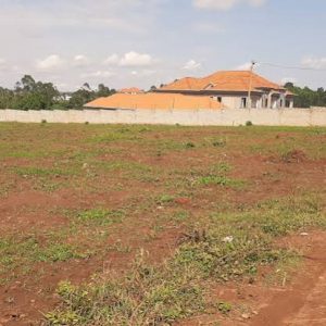 Land in Mubende (100x100)