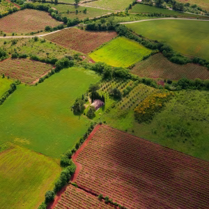 Land Shop